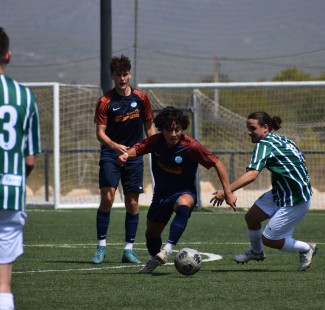 IDA – England, Spanien, Italien und USA